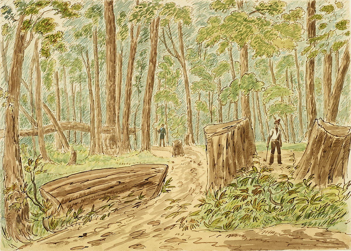 Un dessin représentant une forêt avec des arbres et un homme debout sur un chemin de terre exposé au Musée canadien de l'histoire à Ottawa.