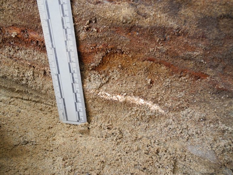 A ruler measures the stained red soil sitting on top of a coffin.