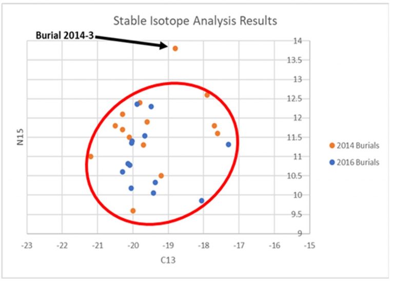 Scatterplot of stable isotope analysis results.