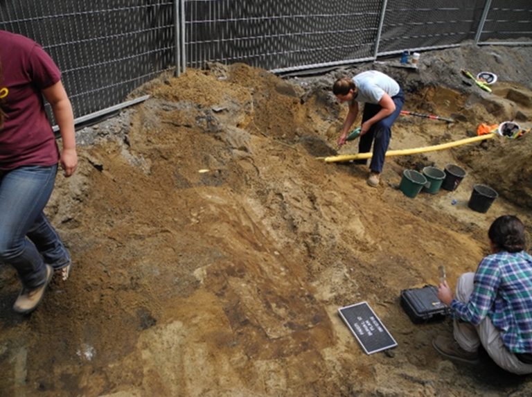 2016 excavations of burials 12 and 13