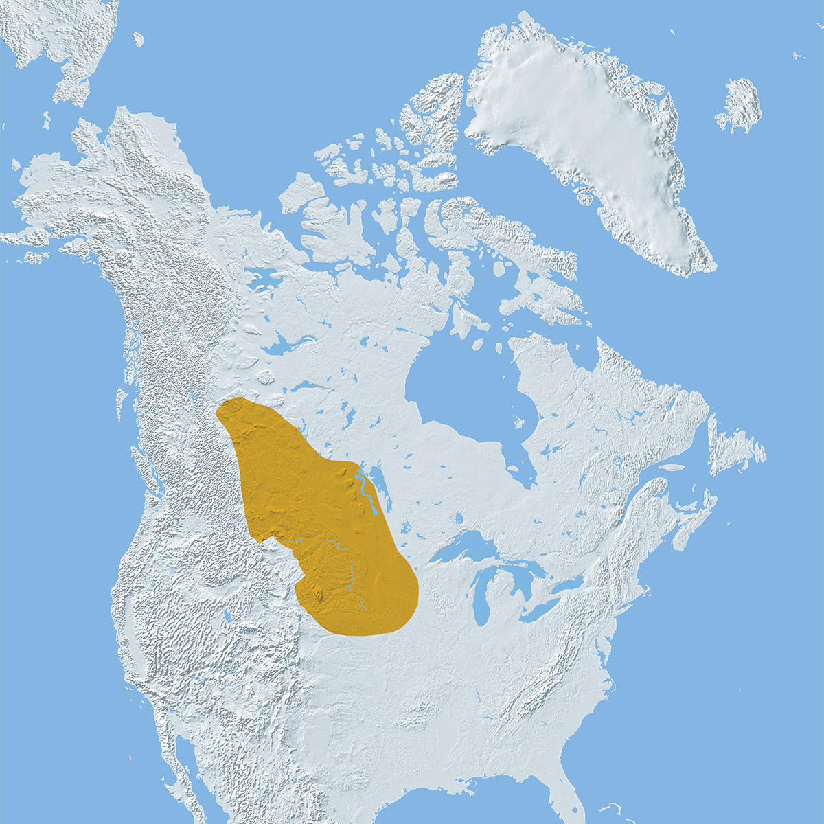 Une carte du Canada avec une zone jaune à Ottawa, près du Musée canadien de l'histoire.