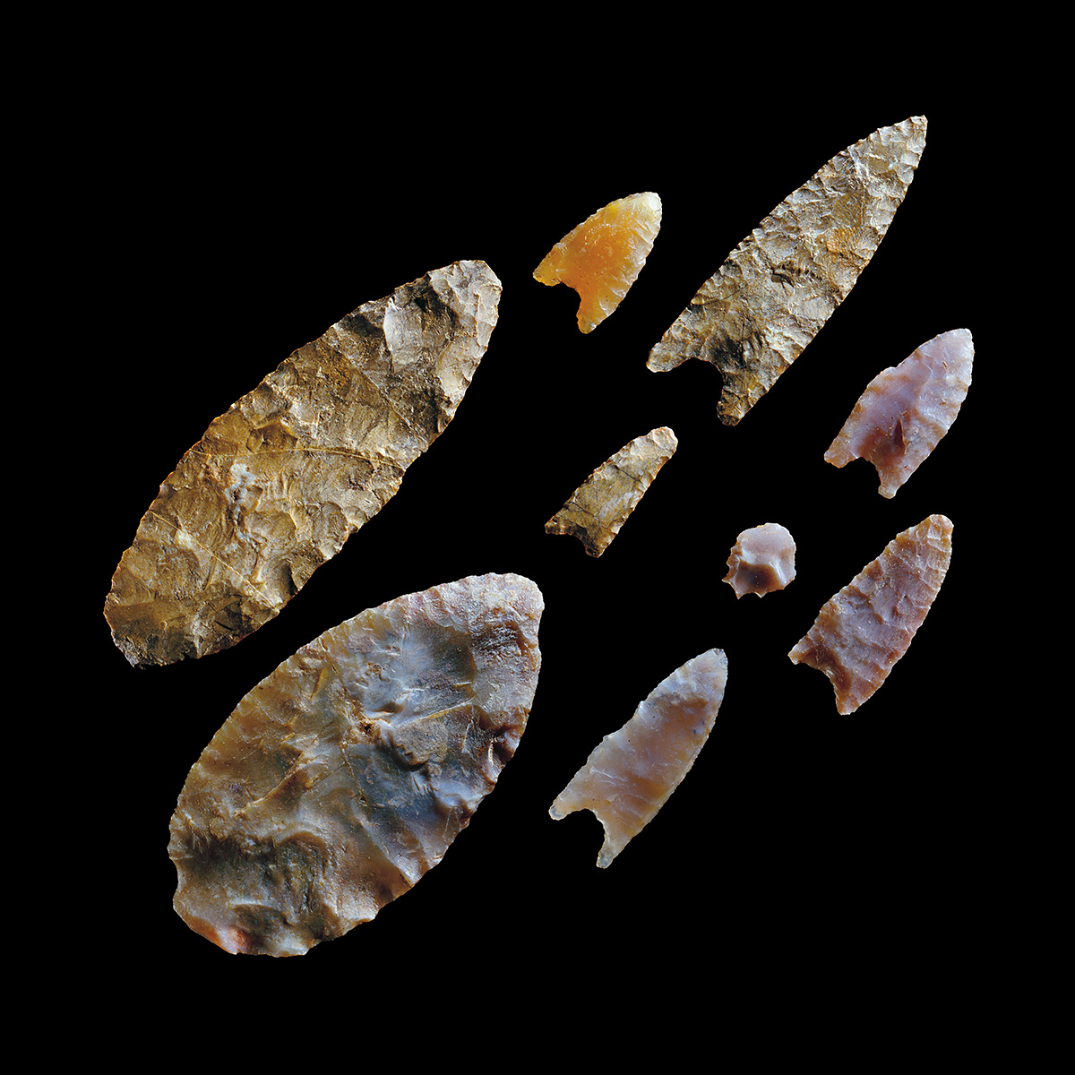 Un groupe de pointes de flèches exposé au Musée canadien de l'histoire à Ottawa.